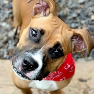 Meet your Posher, Deb